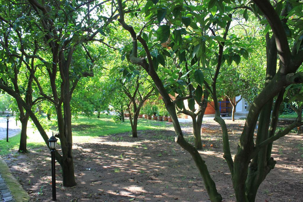 Yildiz Pension Bungalows Çıralı Kültér fotó