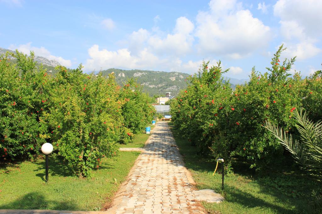 Yildiz Pension Bungalows Çıralı Kültér fotó