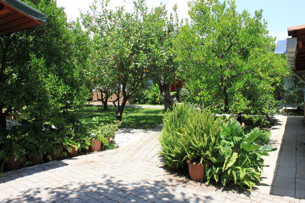 Yildiz Pension Bungalows Çıralı Kültér fotó