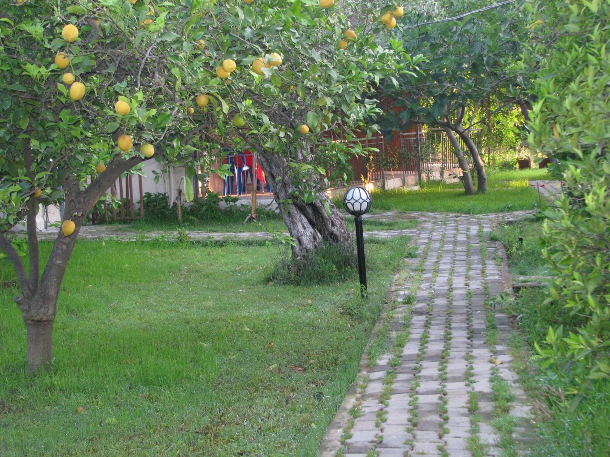 Yildiz Pension Bungalows Çıralı Kültér fotó
