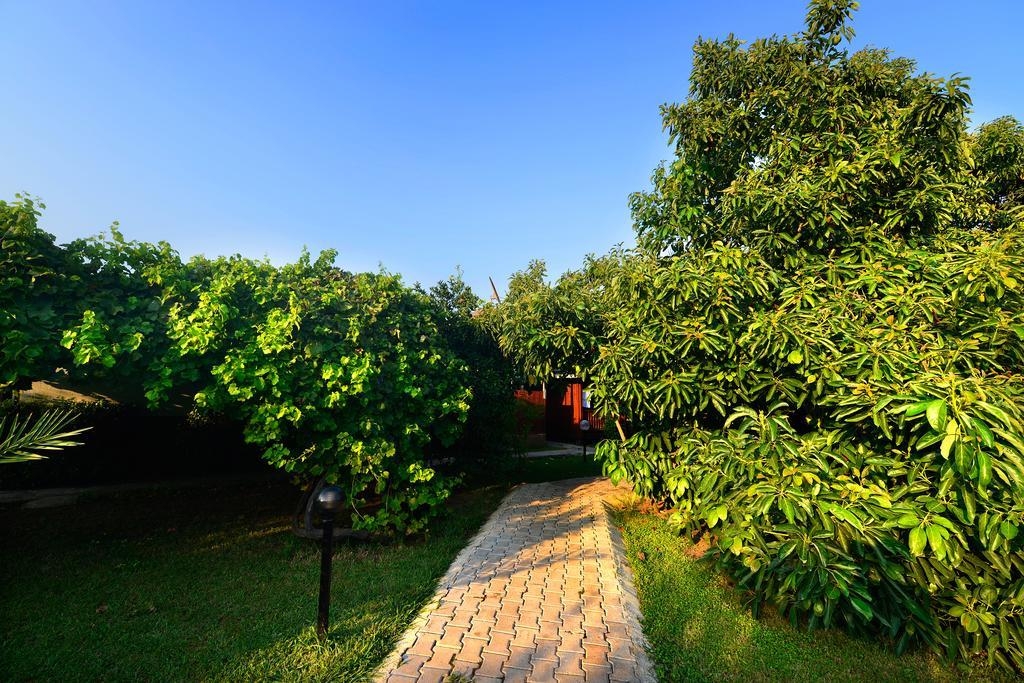 Yildiz Pension Bungalows Çıralı Kültér fotó