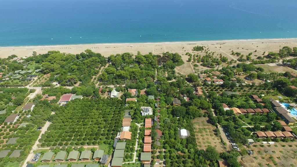 Yildiz Pension Bungalows Çıralı Kültér fotó