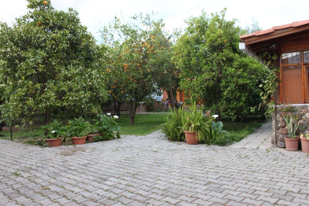 Yildiz Pension Bungalows Çıralı Kültér fotó
